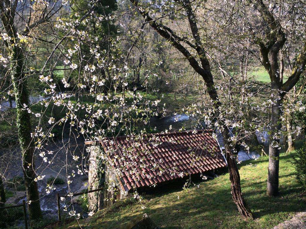 Quinta Do Rio Homem Ferienhaus