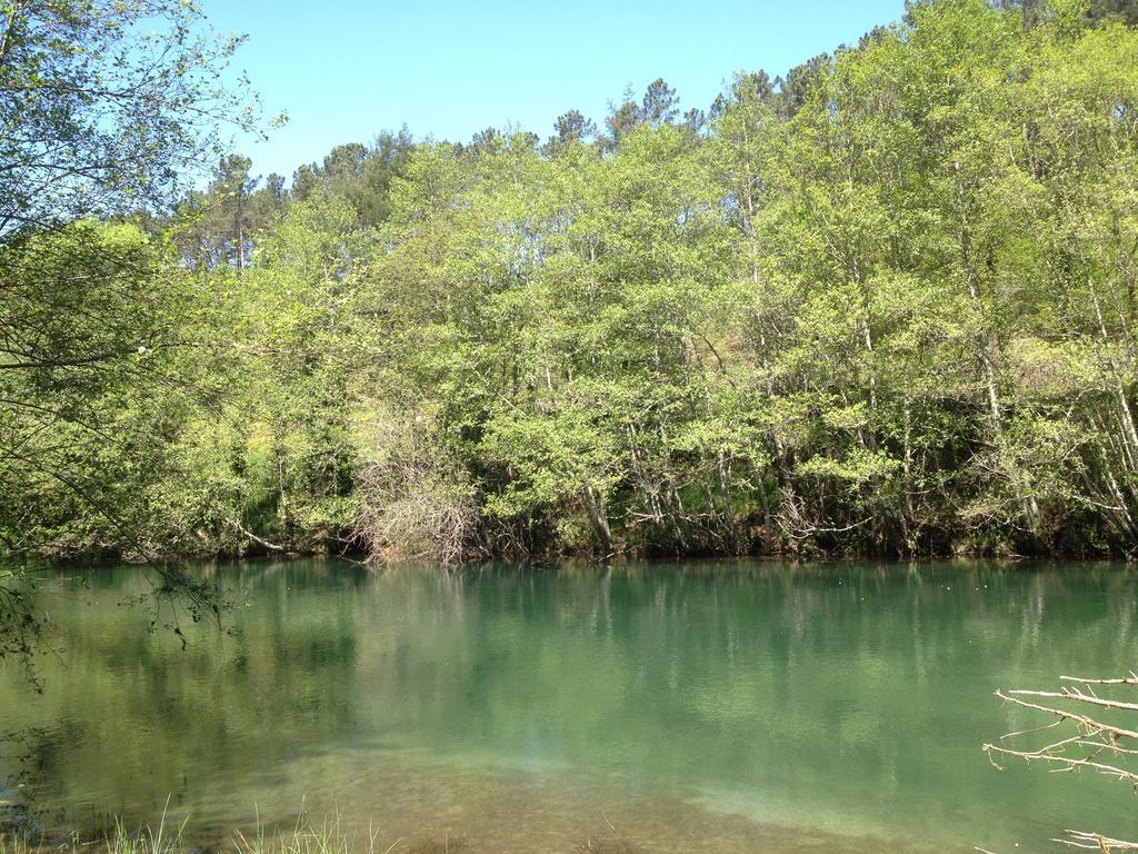 Quinta Do Rio Homem Holiday home
