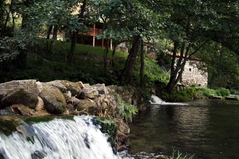 Quinta Do Rio Homem Ferienhaus *