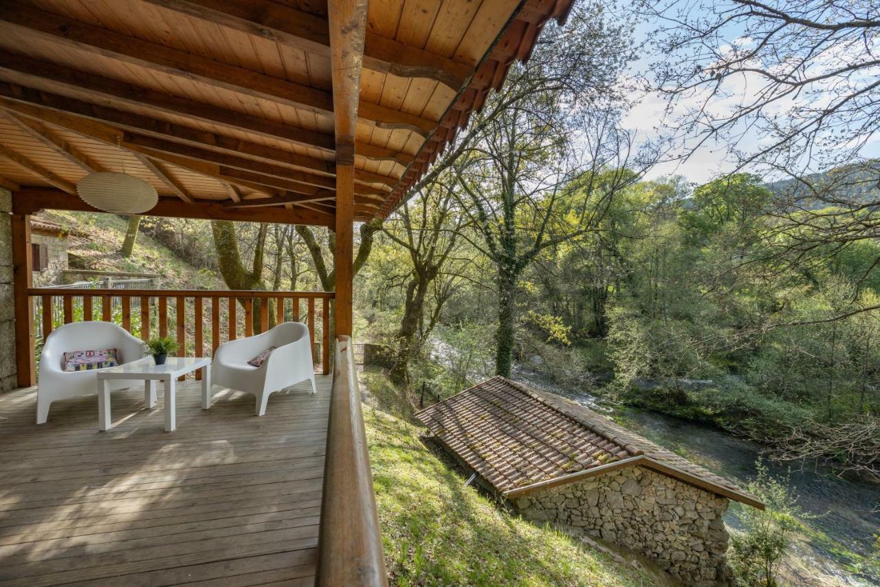 Quinta Do Rio Homem Ferienhaus *